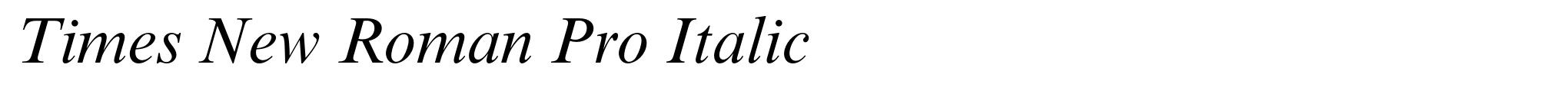 Times New Roman Pro Italic image